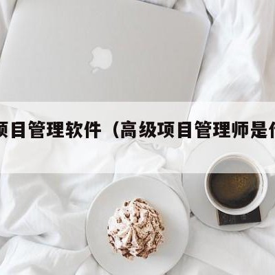 高级项目管理软件（高级项目管理师是什么证书）