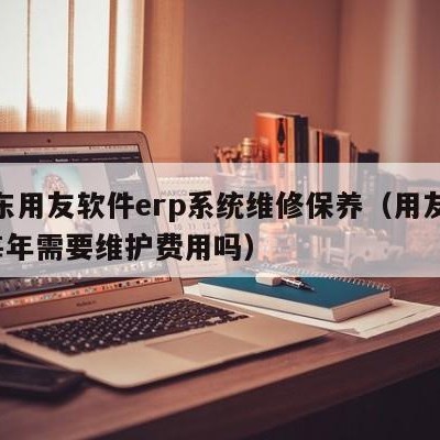 河东用友软件erp系统维修保养（用友erp每年需要维护费用吗）