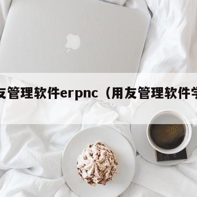 用友管理软件erpnc（用友管理软件学院）