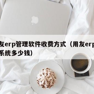 用友erp管理软件收费方式（用友erp管理系统多少钱）