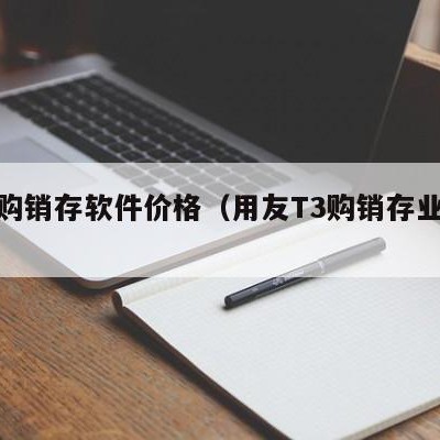 用友购销存软件价格（用友T3购销存业务流程）