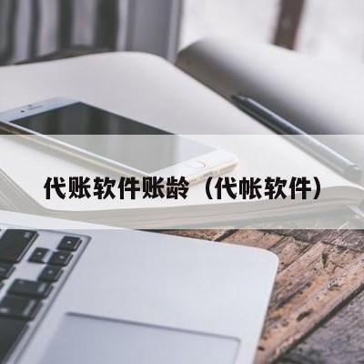 代账软件账龄（代帐软件）