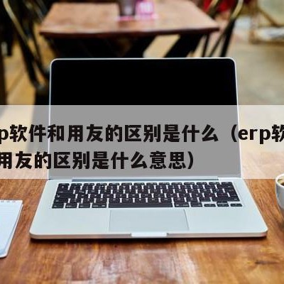 erp软件和用友的区别是什么（erp软件和用友的区别是什么意思）