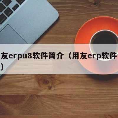 用友erpu8软件简介（用友erp软件介绍）