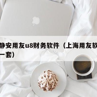 上海静安用友u8财务软件（上海用友软件多少钱一套）