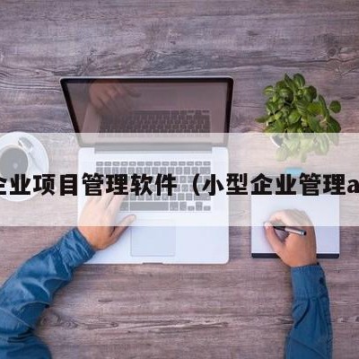 小企业项目管理软件（小型企业管理app）