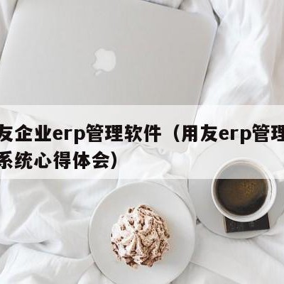 用友企业erp管理软件（用友erp管理软件系统心得体会）