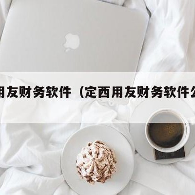 定西用友财务软件（定西用友财务软件公司地址）