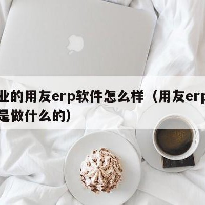 专业的用友erp软件怎么样（用友erp软件是做什么的）