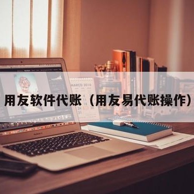 用友软件代账（用友易代账操作）