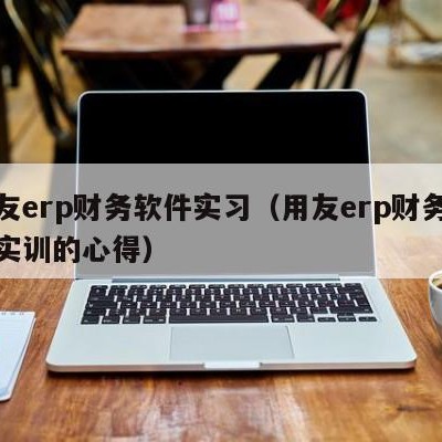 用友erp财务软件实习（用友erp财务软件实训的心得）