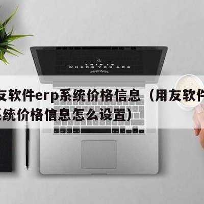 用友软件erp系统价格信息（用友软件erp系统价格信息怎么设置）