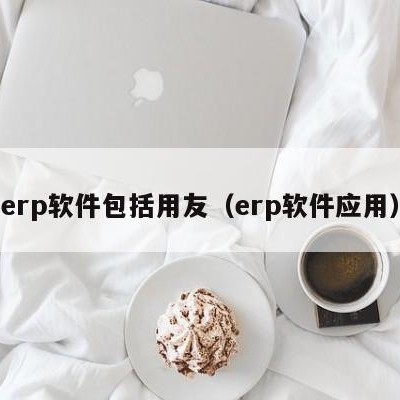 erp软件包括用友（erp软件应用）