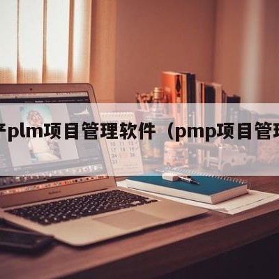 国产plm项目管理软件（pmp项目管理软件）