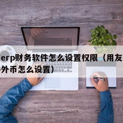 用友erp财务软件怎么设置权限（用友财务软件外币怎么设置）