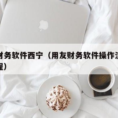 用友财务软件西宁（用友财务软件操作流程视频教程）