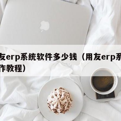 用友erp系统软件多少钱（用友erp系统操作教程）