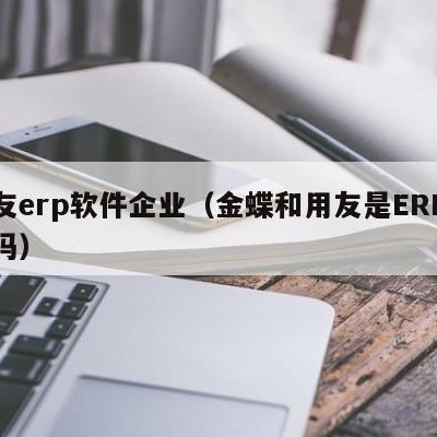 用友erp软件企业（金蝶和用友是ERP软件吗）