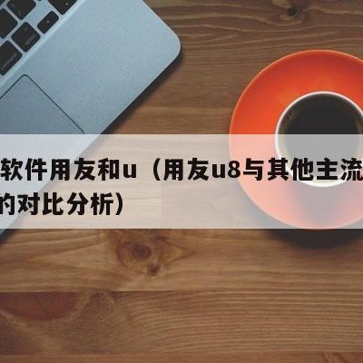 财务软件用友和u（用友u8与其他主流财务erp的对比分析）