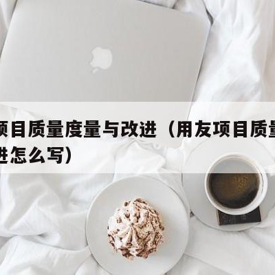 用友项目质量度量与改进（用友项目质量度量与改进怎么写）