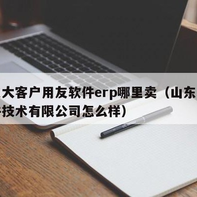 山东大客户用友软件erp哪里卖（山东用友软件技术有限公司怎么样）