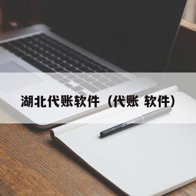 湖北代账软件（代账 软件）