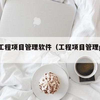 Pm工程项目管理软件（工程项目管理pmc）