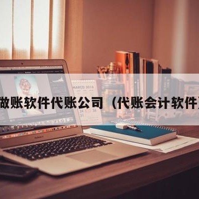 做账软件代账公司（代账会计软件）