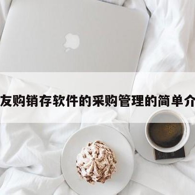 用友购销存软件的采购管理的简单介绍