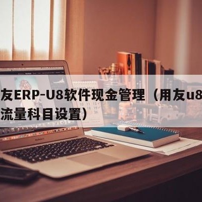 用友ERP-U8软件现金管理（用友u8现金流量科目设置）