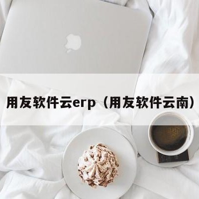 用友软件云erp（用友软件云南）