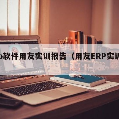 erp软件用友实训报告（用友ERP实训报告）