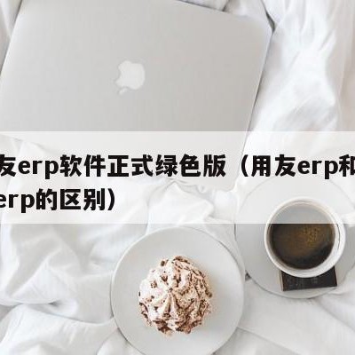 用友erp软件正式绿色版（用友erp和金蝶erp的区别）