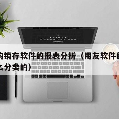 用友购销存软件的报表分析（用友软件的存货是怎么分类的）