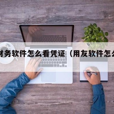 用友财务软件怎么看凭证（用友软件怎么查看凭证）