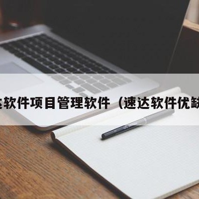 速达软件项目管理软件（速达软件优缺点）