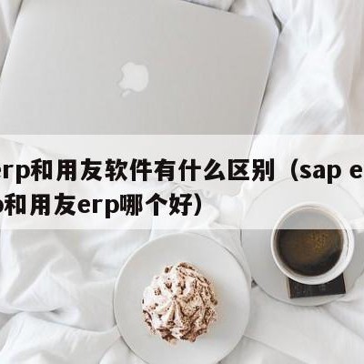 erp和用友软件有什么区别（sap erp和用友erp哪个好）