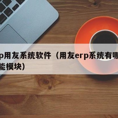 erp用友系统软件（用友erp系统有哪些功能模块）