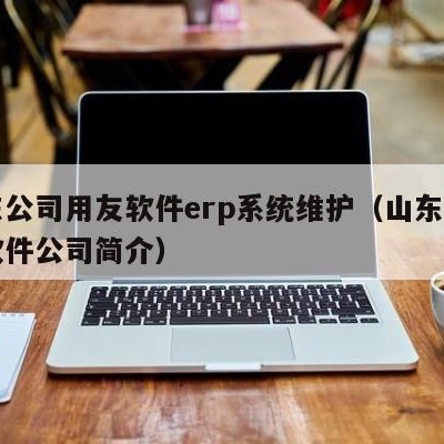 山东公司用友软件erp系统维护（山东省用友软件公司简介）