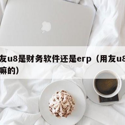 用友u8是财务软件还是erp（用友u8是干嘛的）