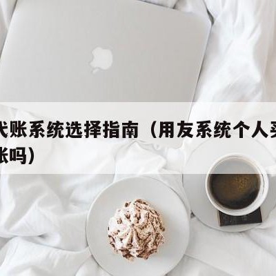 用友代账系统选择指南（用友系统个人买了可以代账吗）