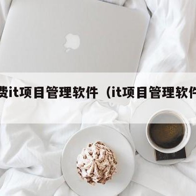 免费it项目管理软件（it项目管理软件排名）