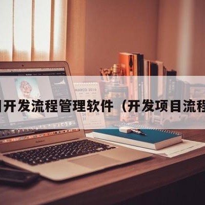 项目开发流程管理软件（开发项目流程图）