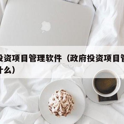 政府投资项目管理软件（政府投资项目管理软件是什么）