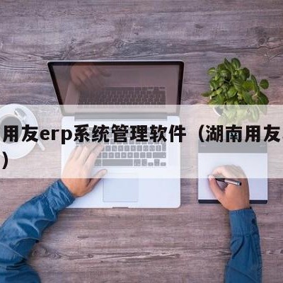 湖南用友erp系统管理软件（湖南用友软件公司）