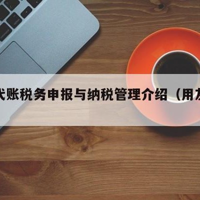 用友代账税务申报与纳税管理介绍（用友代做）