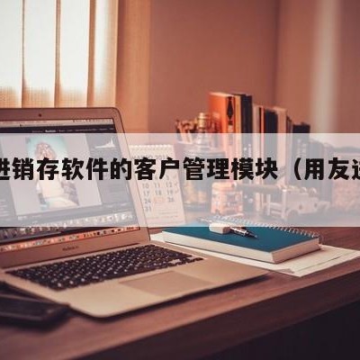 用友进销存软件的客户管理模块（用友进销存系统）