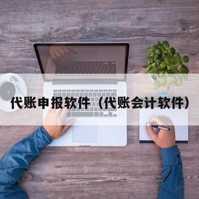 代账申报软件（代账会计软件）