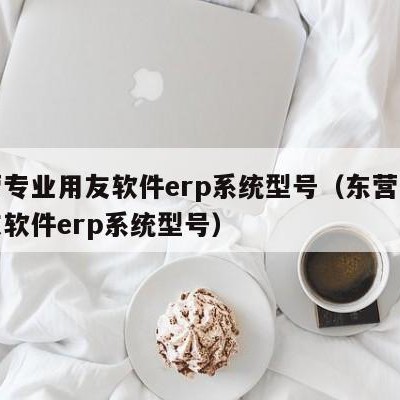 东营专业用友软件erp系统型号（东营专业用友软件erp系统型号）