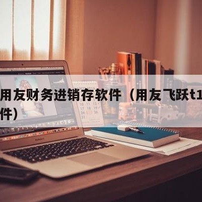 南京用友财务进销存软件（用友飞跃t1进销存软件）